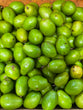 JUNE PLUM
