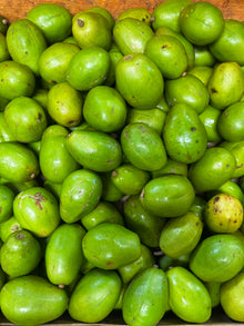 Yummie Caribbean Wholesale & Retail Inc.